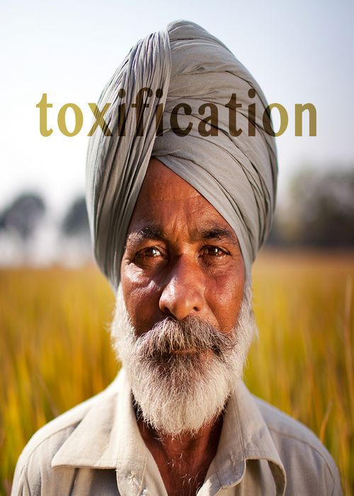 Toxification