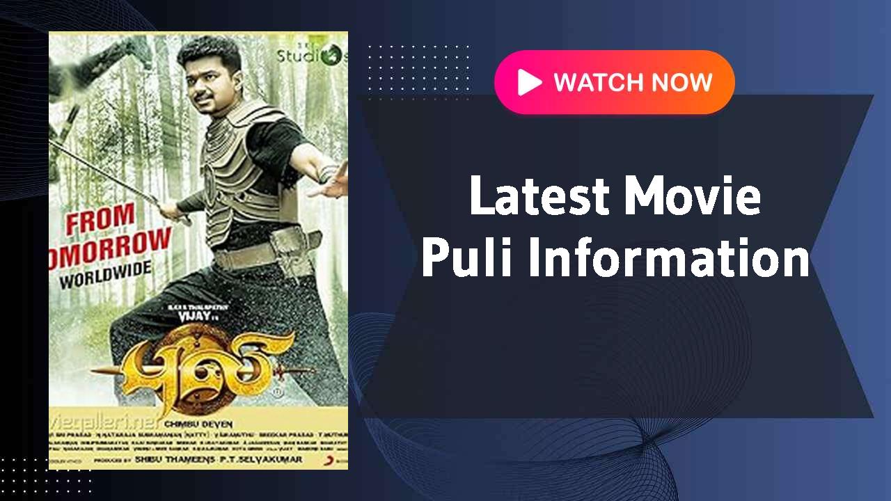 Puli